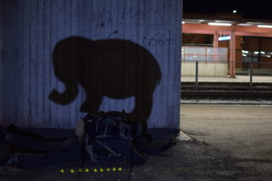 Kuva Fliitti - Elefantin paino